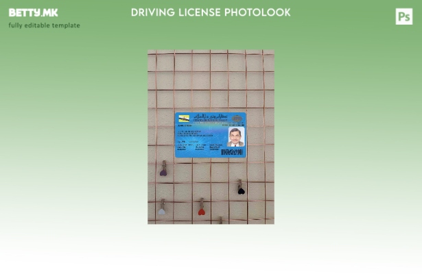 Модерен стил Брунеи возачка дозвола photolook ПРЕДЕН шаблон